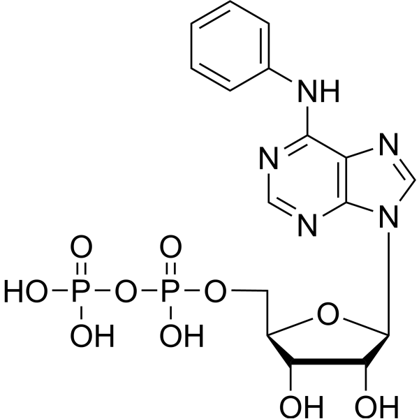 6-Phe-ADP 105701-92-6